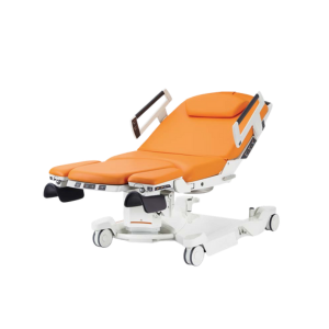 Birthing Bed AVE 2